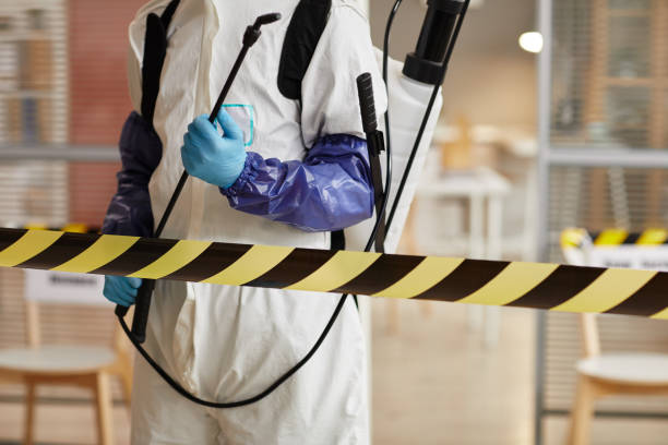Professional Hoarding Cleanup technician working in Palestine, IL