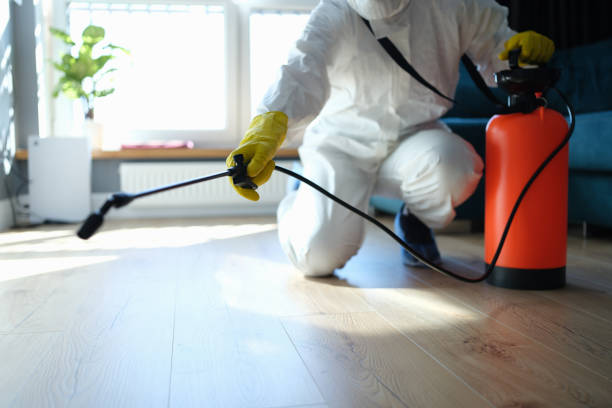 Reliable Hoarding Cleanup contractor in Palestine, IL by Dulley Family Biohazard Services